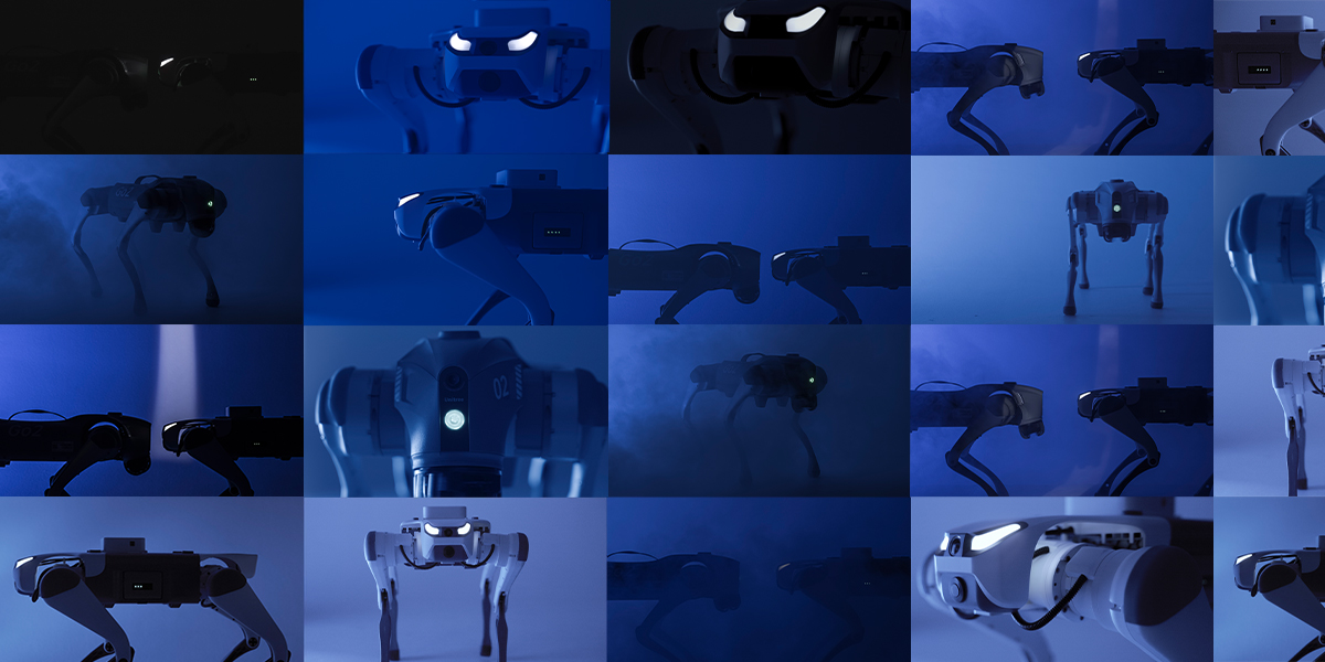 Robotic Show